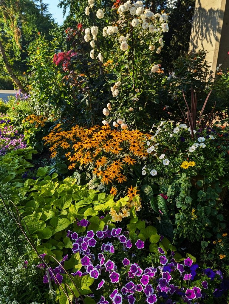Flowers.jpg