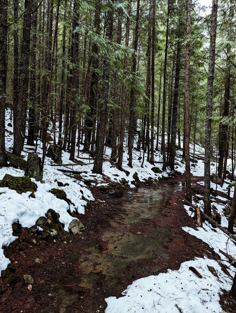 WhistlerTrail_00016.jpg