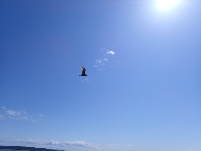 WR Beach14.jpg