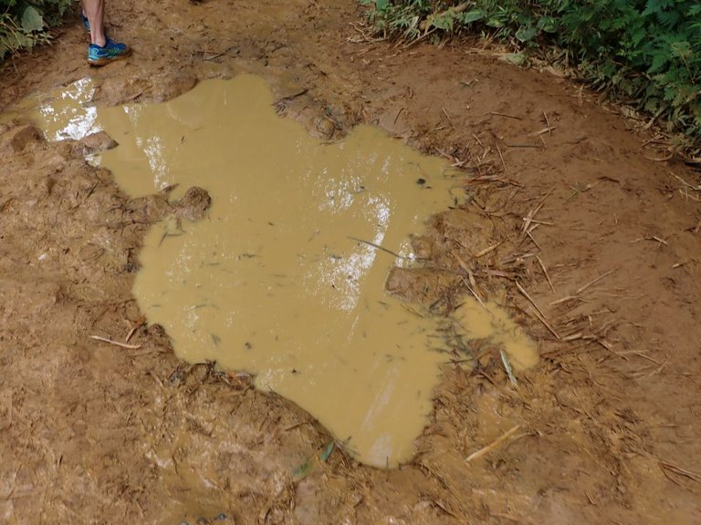 hike foot.jpg