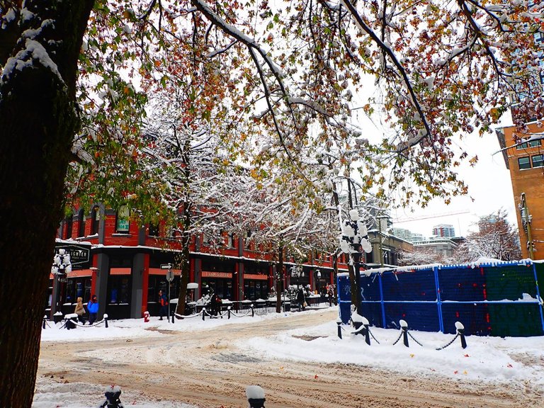 Winter_Storm_2022_s40011.jpg