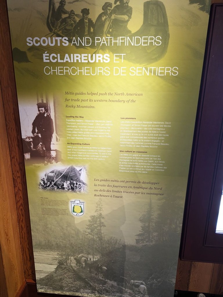 Metis poster.jpg