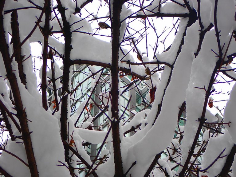 Winter_Storm_2022_s40034.jpg