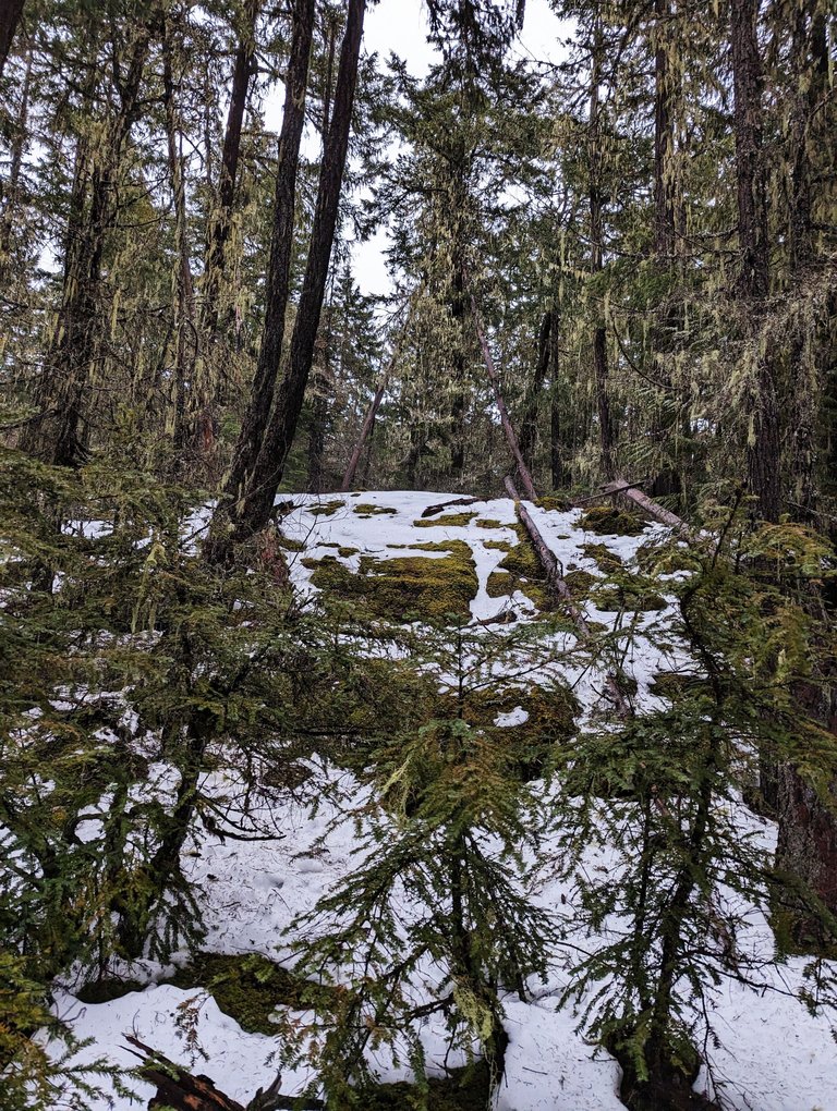 WhistlerTrail_00012.jpg