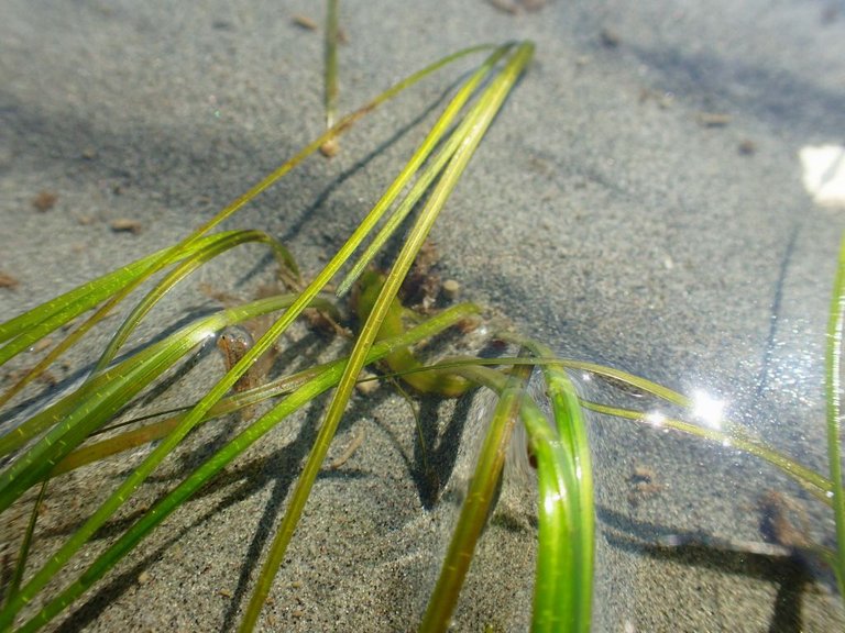 WR Beach11.jpg