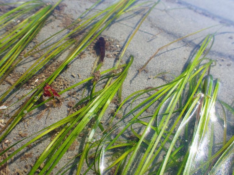 WR Beach07.jpg