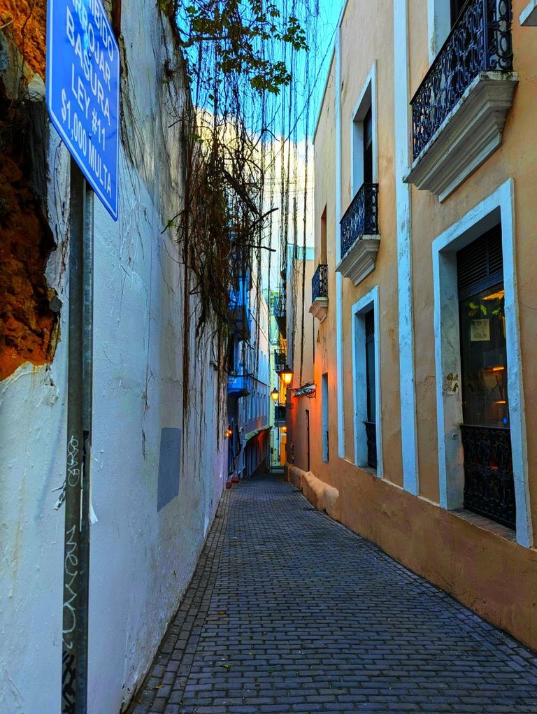 Alley PR.jpg