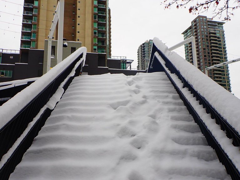 Winter_Storm_2022_s40028.jpg