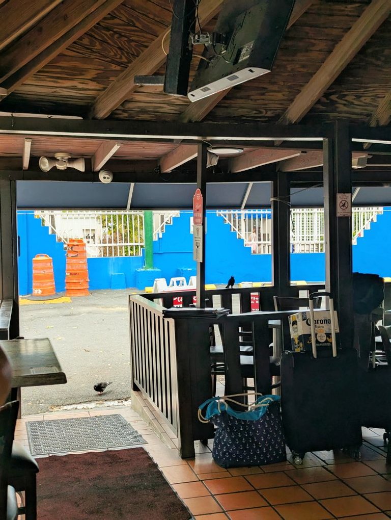 PR Birds 202.jpg