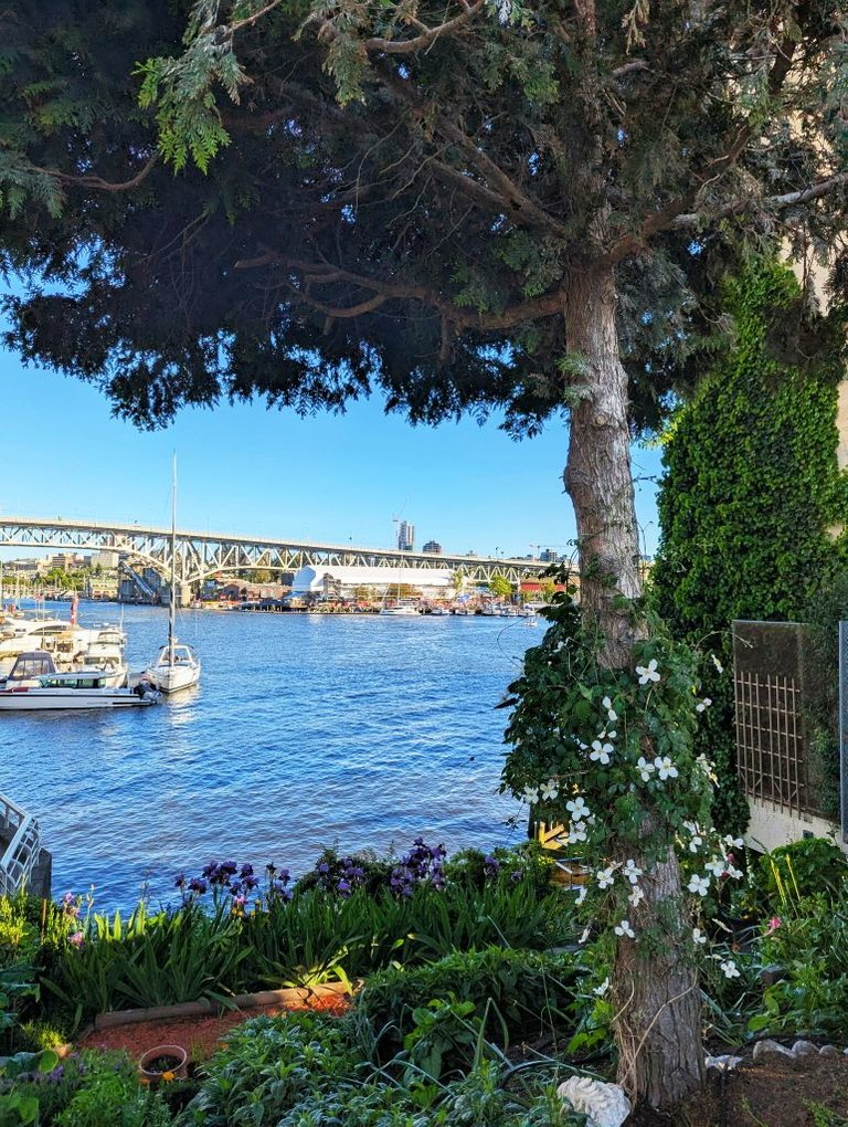 bridge_bay.jpg