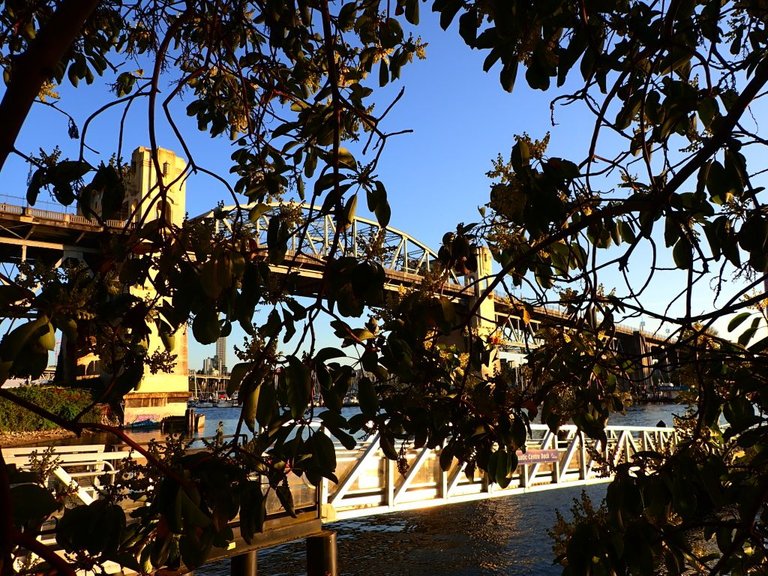 Burrard Bridge.jpg