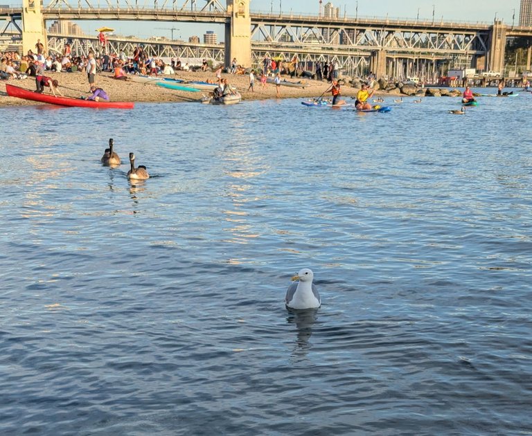 In the Bay.jpg