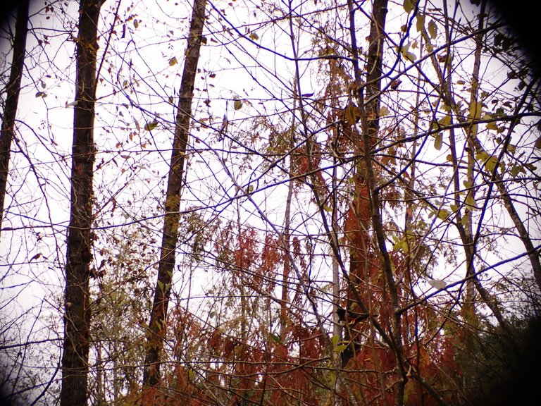 Hiking05.jpg