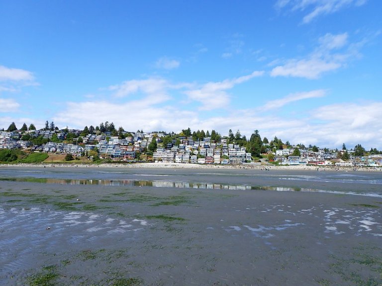 WR Beach19.jpg