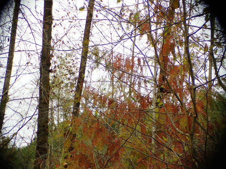Hiking06.jpg