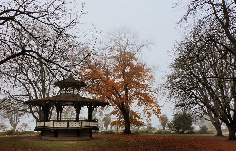 Fog_West_End0016.jpg