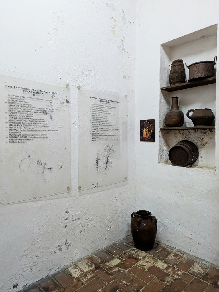 Botanical Exhibition06.jpg