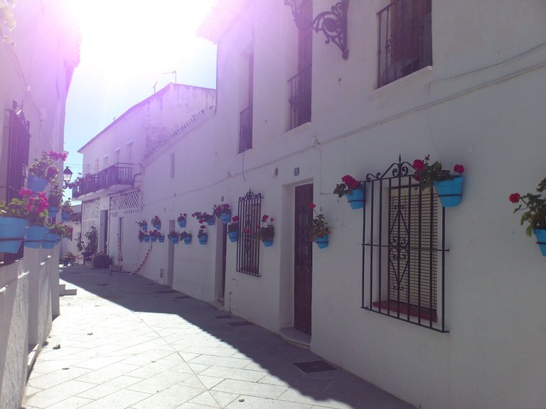 DSC_0971.JPG