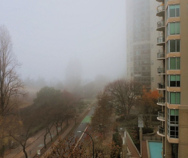 Fog_West_End0007.jpg