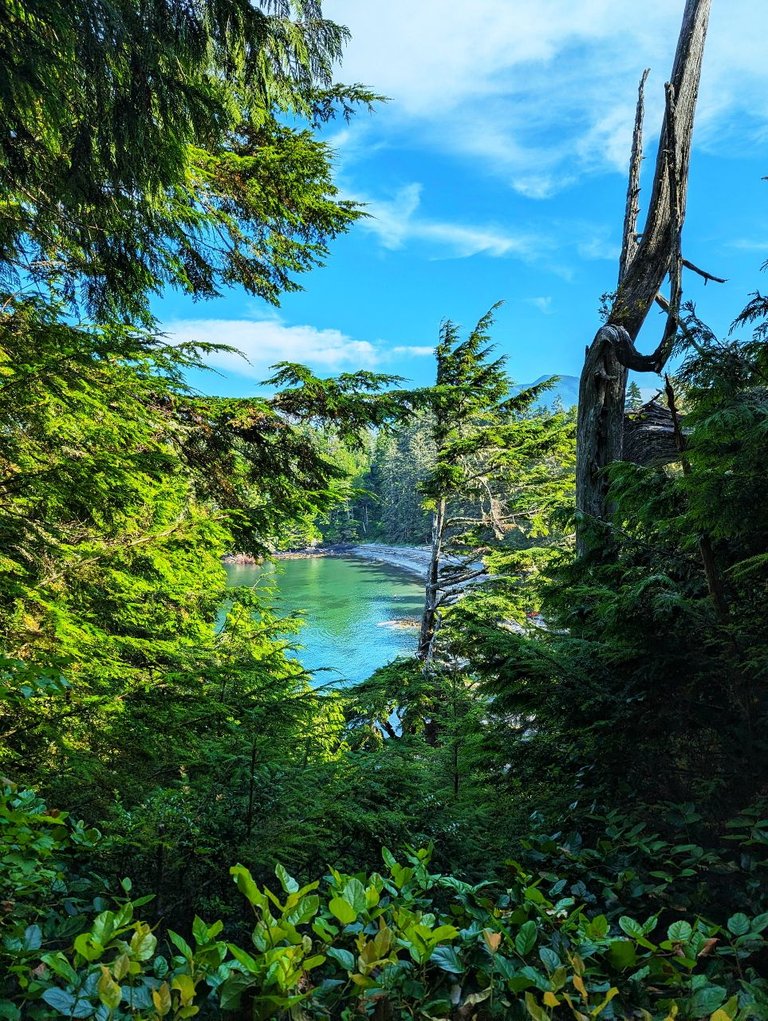 Trail_West_Coast0009.jpg