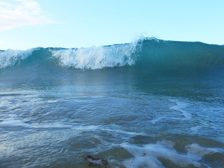 Beach in SJ15.jpg