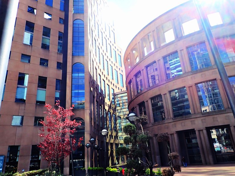 LibrarySquare0001.jpg