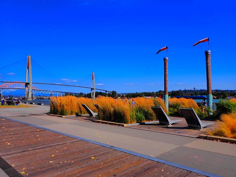 NewWest.jpg