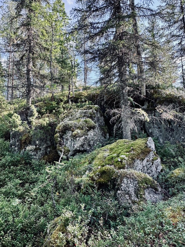 Tavelsjö