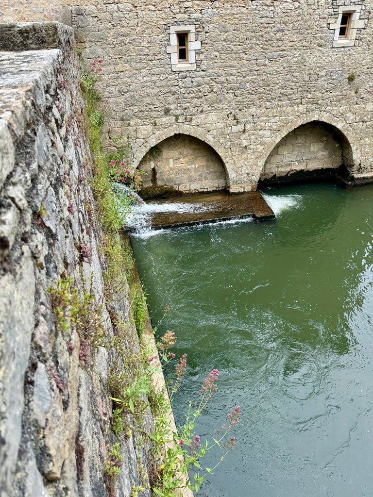 IMG_6692.jpeg