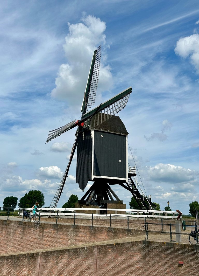 IMG_2781.jpeg