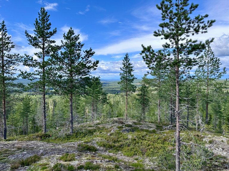 Tavelsjö