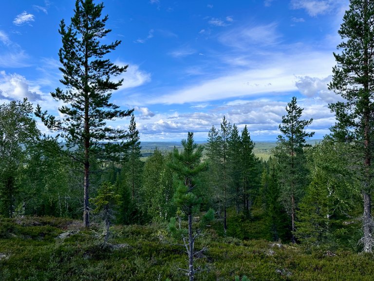 Tavelsjö