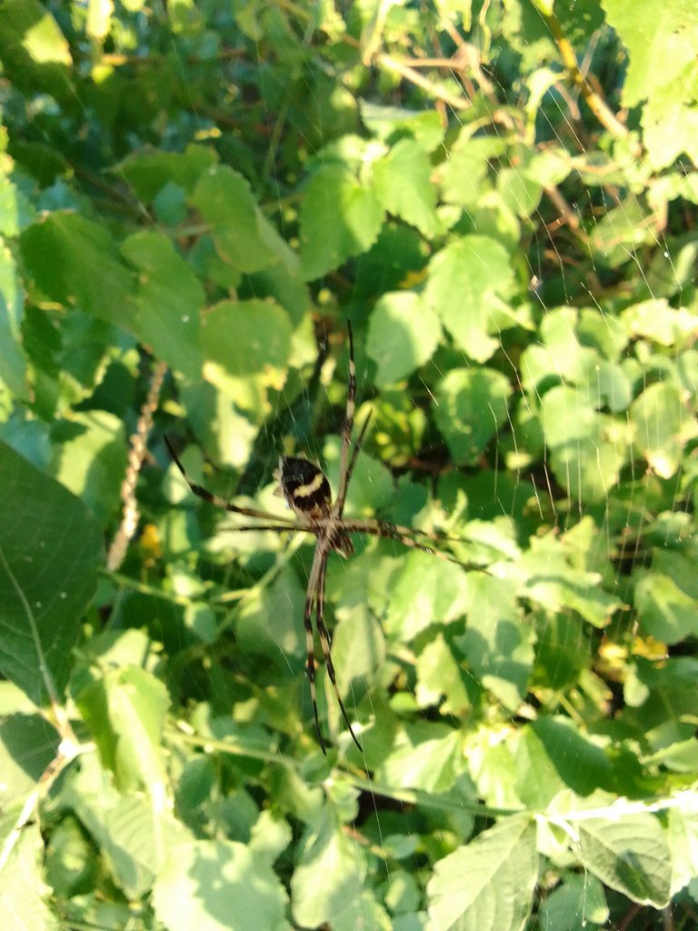 IMG_20221220_173804.jpg