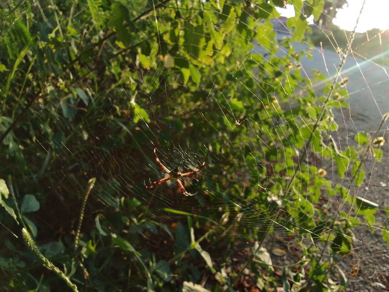 IMG_20221220_173710.jpg
