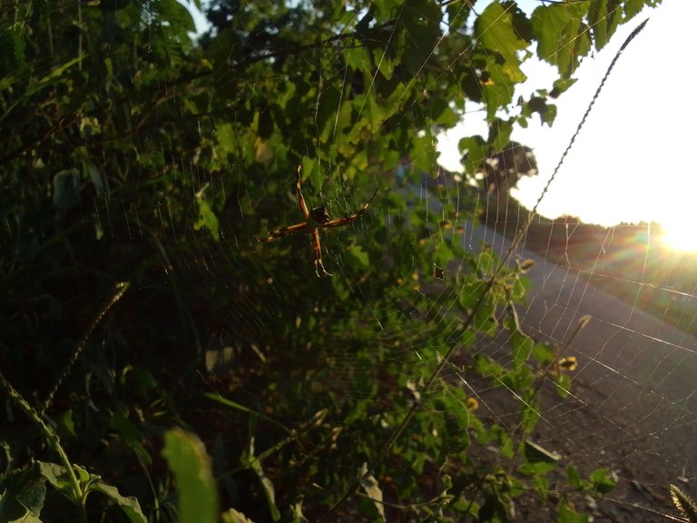 IMG_20221220_173701.jpg