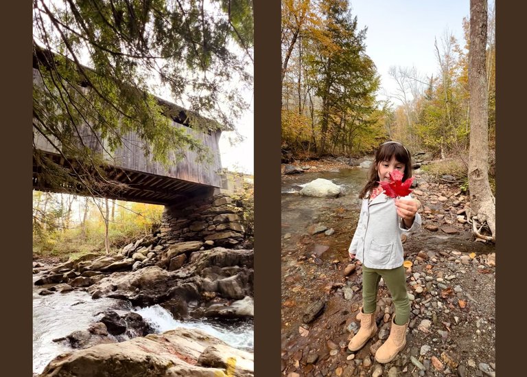 Canva Covered bridge 4.png