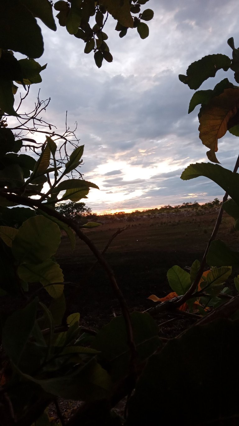 20250417_182034.jpg