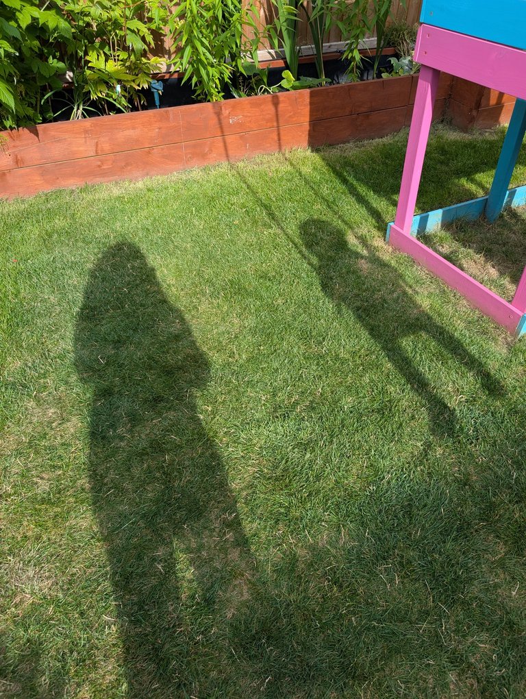 1000040597.jpg
