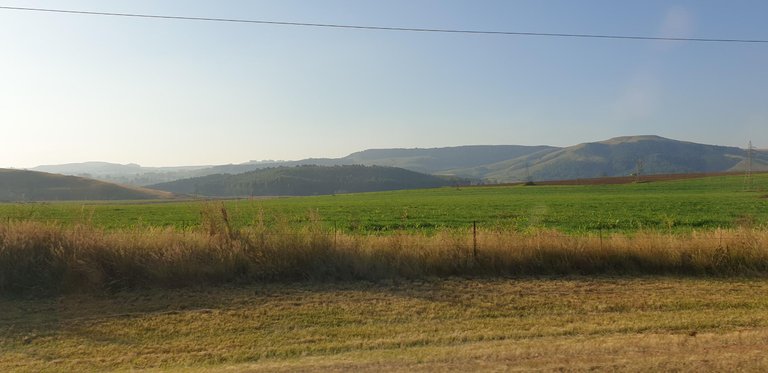 20230502_160311.jpg