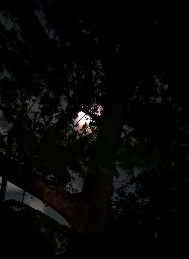 20250604_221954.jpg