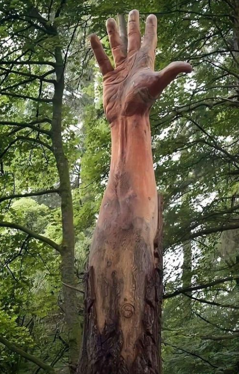 tree hand sculpture.png