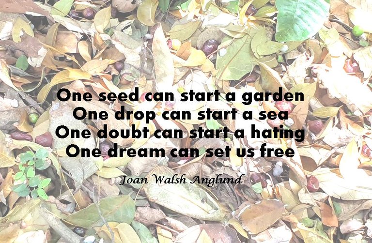 one seed poem.jpg