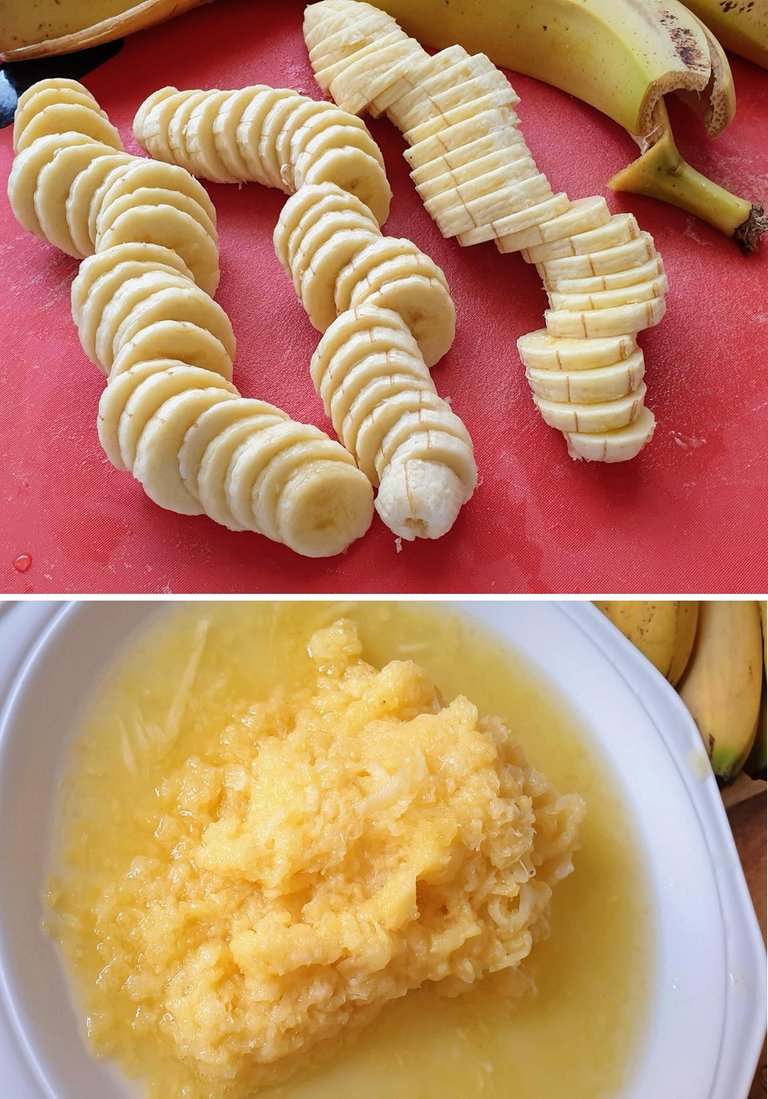banana pine.jpg