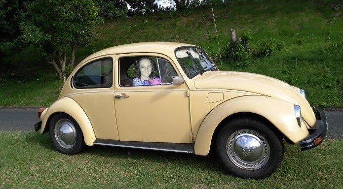 Beetle Liz.jpg
