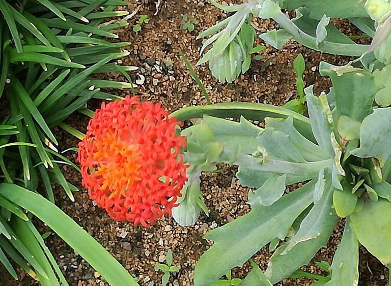 IMG_20190409_113548.jpg