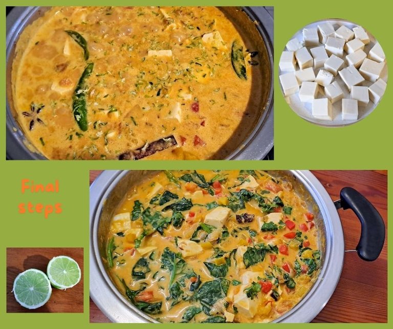 tofu curry step 4.jpg