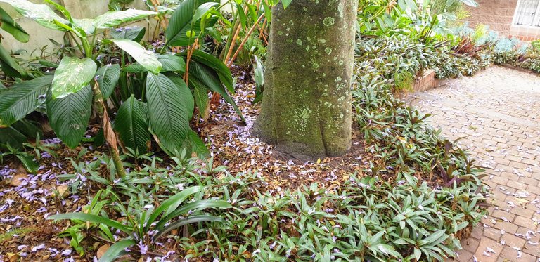 20221022_104847.jpg