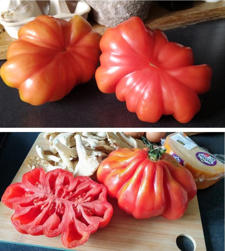 mushroom basket tomatoes1.jpg