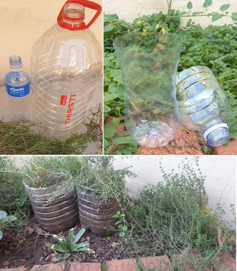 plastic bottles 1.jpg