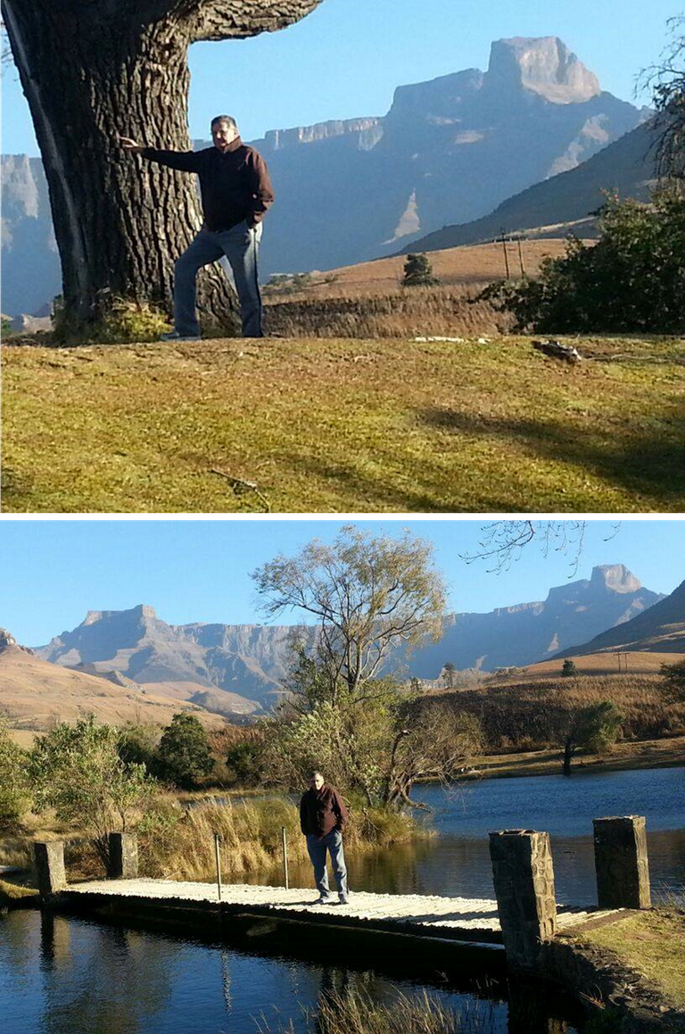 Alpine Heath Arthur.png